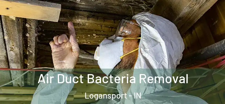  Air Duct Bacteria Removal Logansport - IN
