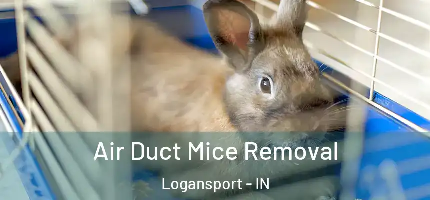  Air Duct Mice Removal Logansport - IN