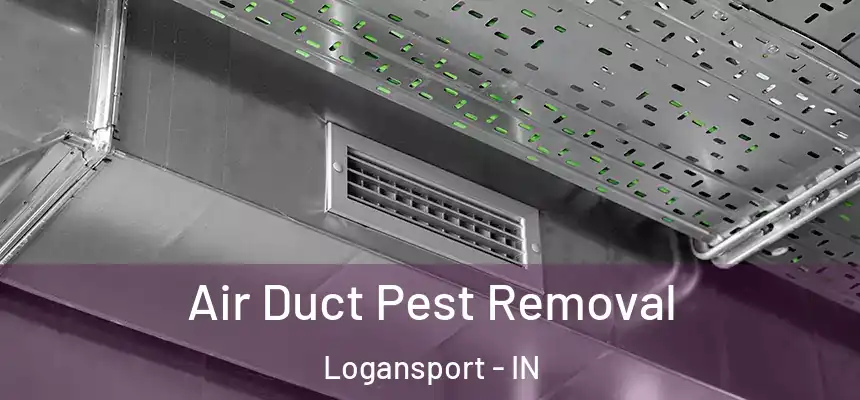  Air Duct Pest Removal Logansport - IN