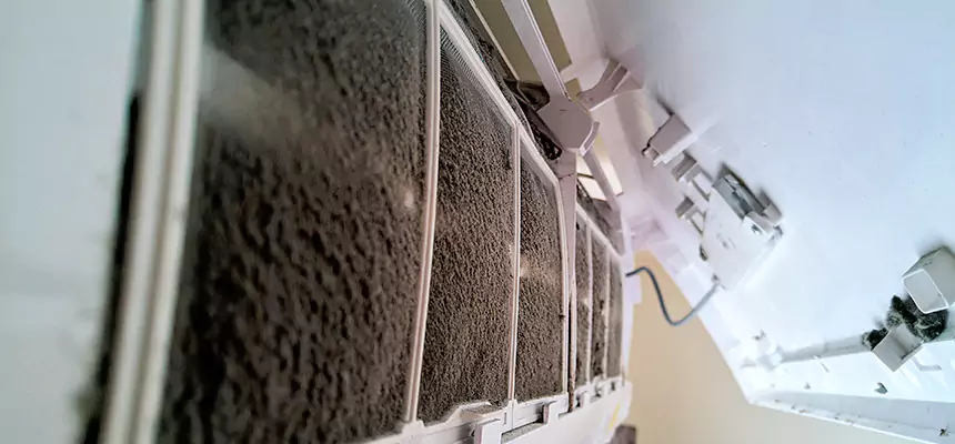 Preventive Air Duct Bacteria Removal in Logansport