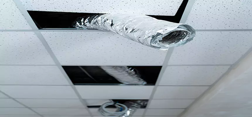 Affordable HVAC Sanitizing After Pest Removal in Logansport