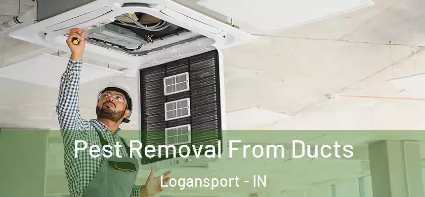  Pest Removal From Ducts Logansport - IN