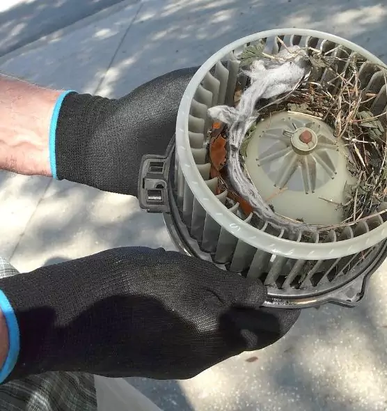 About Air Duct Rat Removal in Logansport, IN