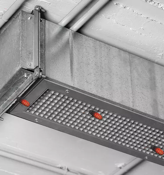 Affordable Insect Removal from Air Ducts in Logansport, IN